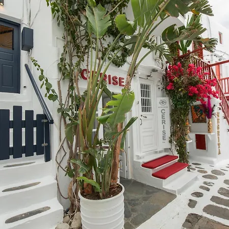 阿利夫孔德劳一室公寓 度假居 Mykonos Town