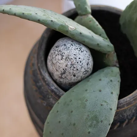 Silvernoses Little Venice * Mykonos Town